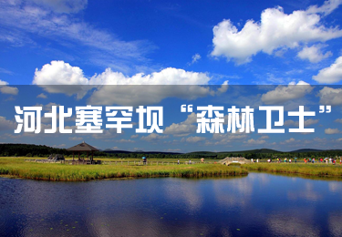 河北塞罕壩“森林衛士”：滿樹綠色就是我們的驕傲